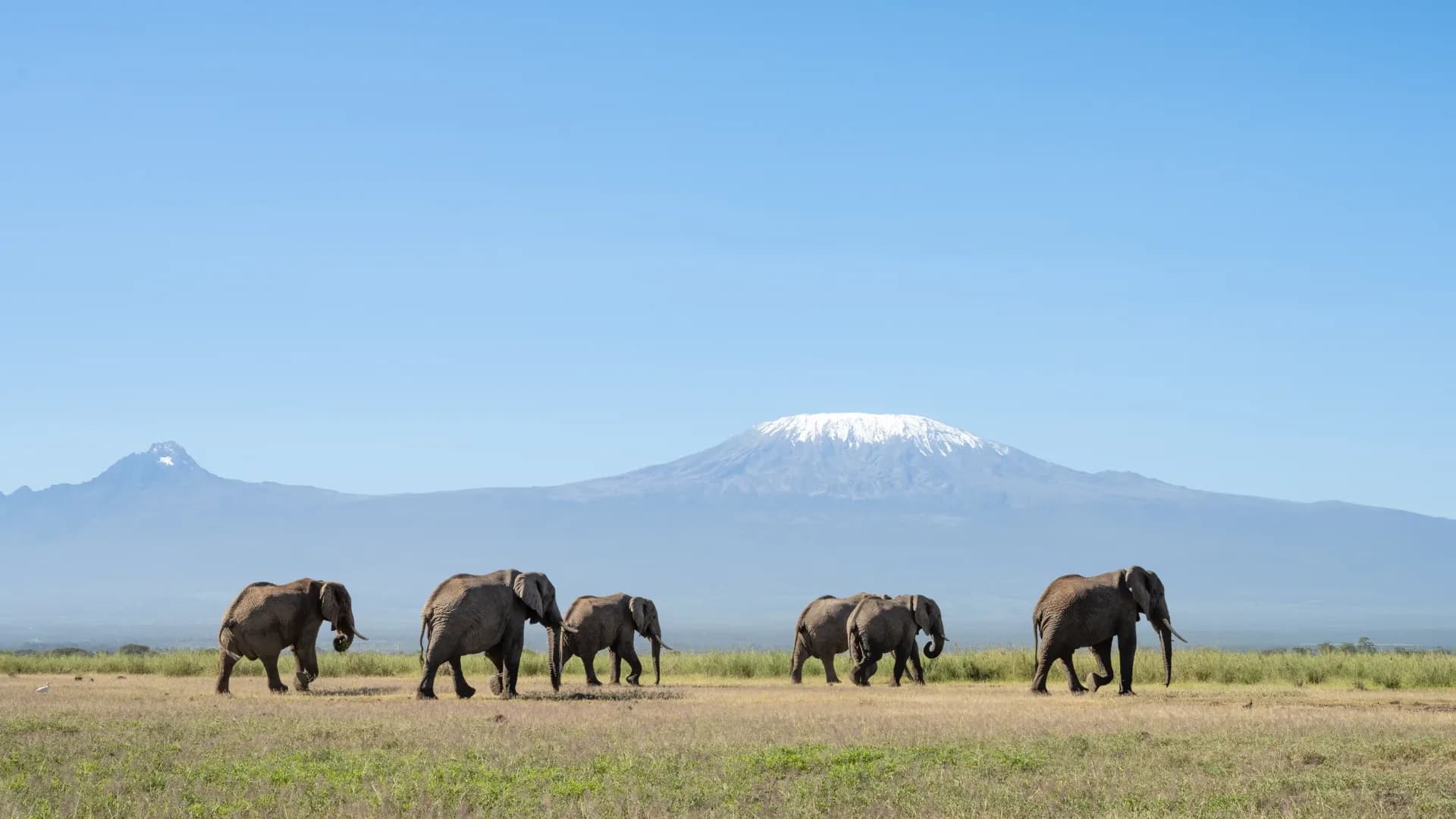 Kenya