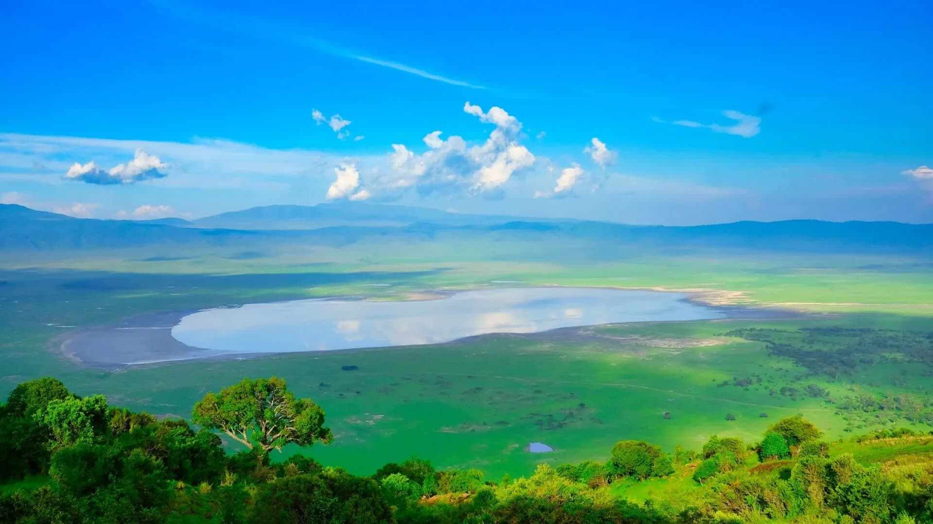 Ngorongoro & Zanzibar