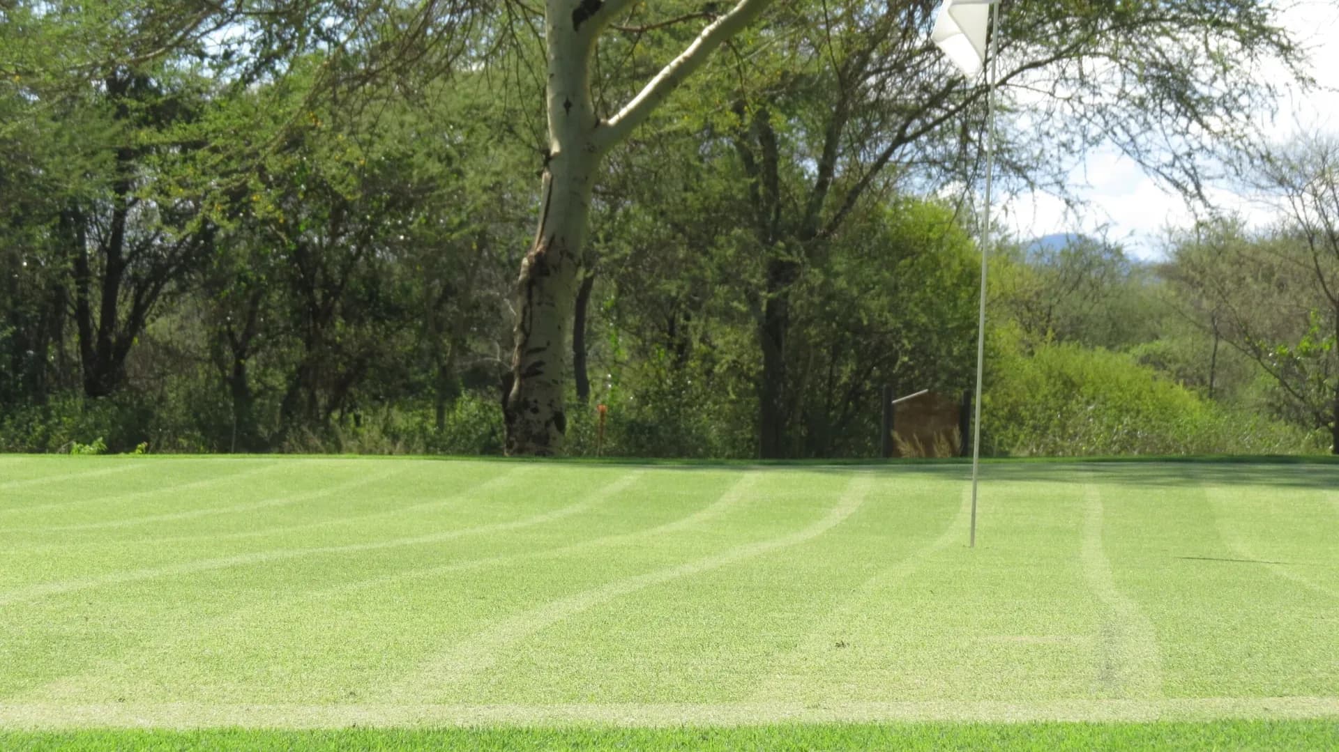 The Iron - Corporate Safari + Golf Retreat