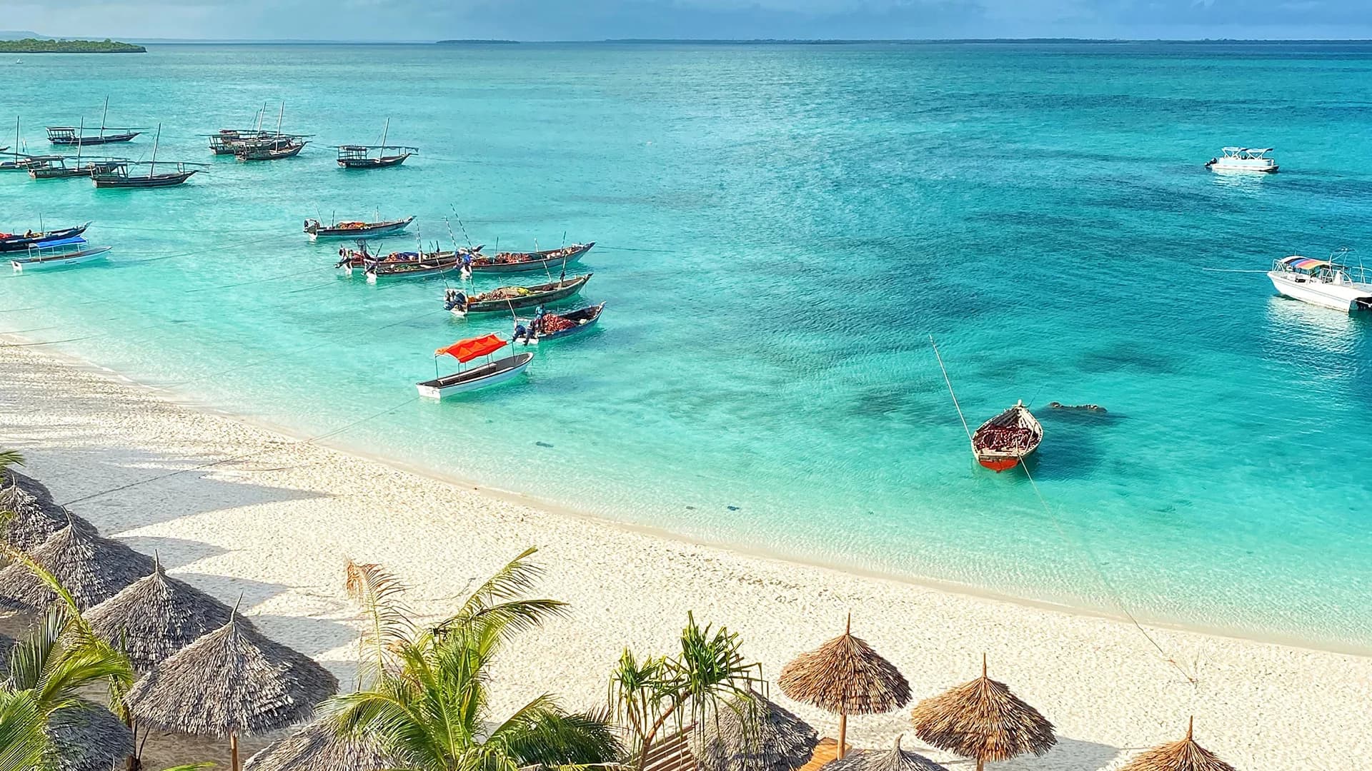 The Albatross - Safari, Golf & Zanzibar Beach