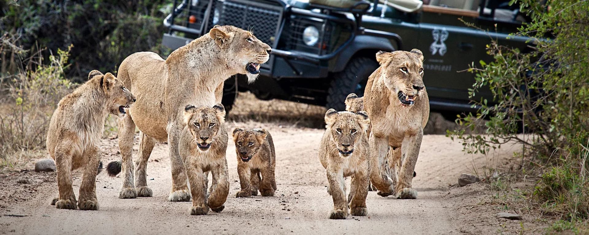 Greater Kruger