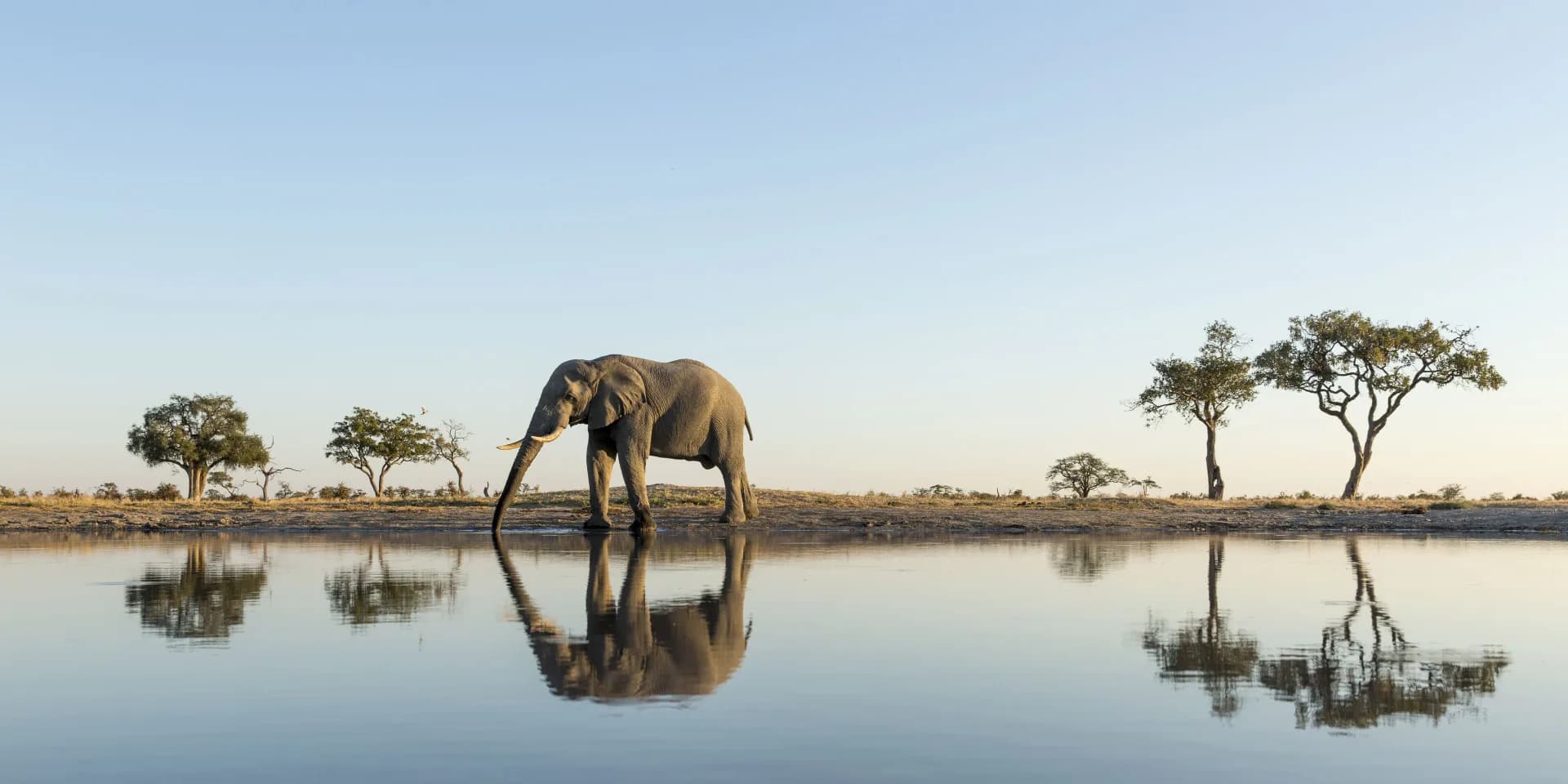 Chobe National Park
