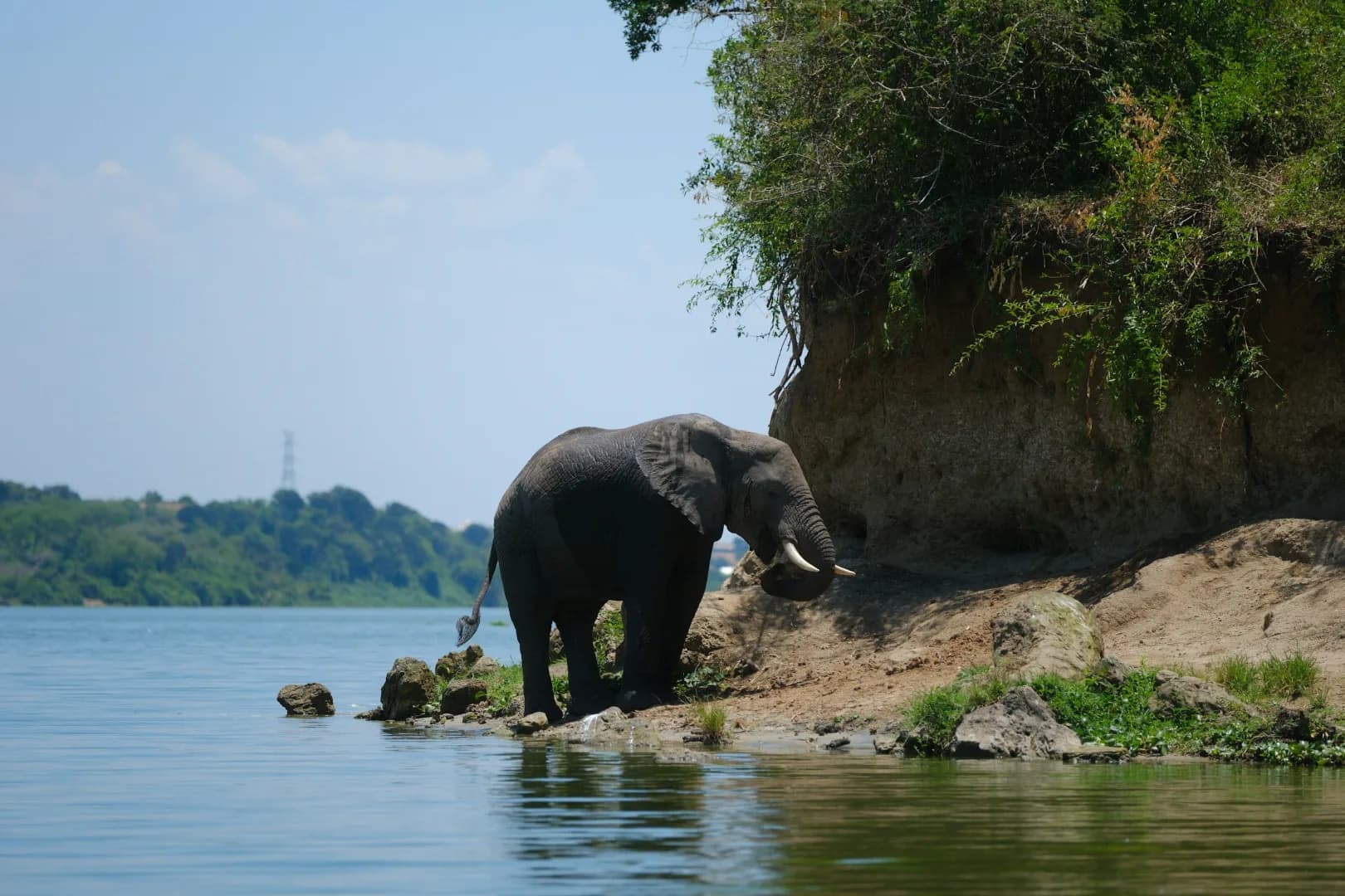 Queen Elizabeth National Park