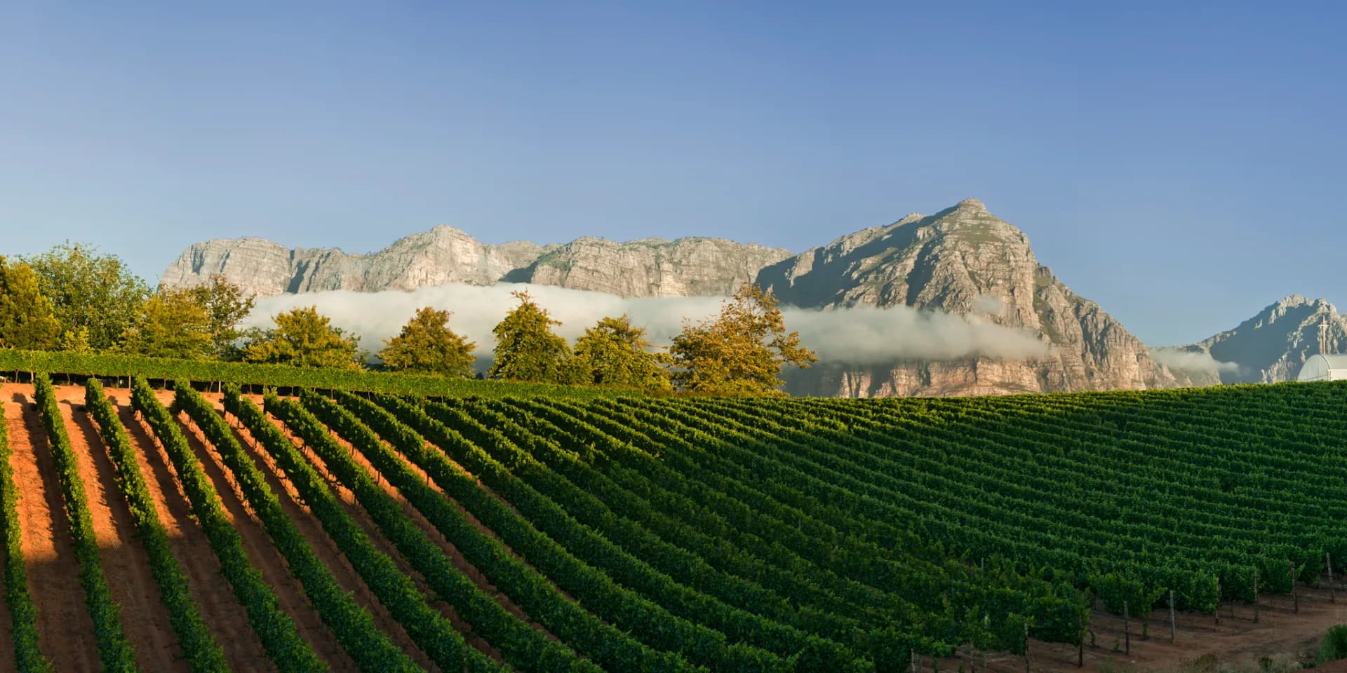 Western Cape & Winelands Reserves