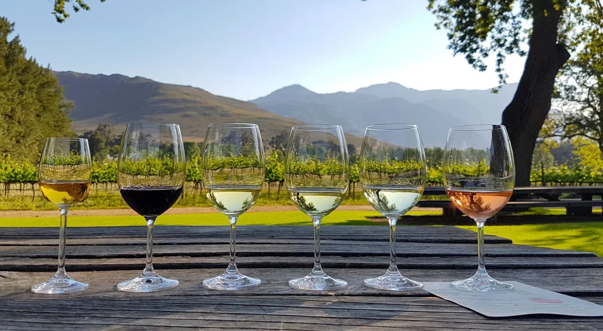 Cape Winelands