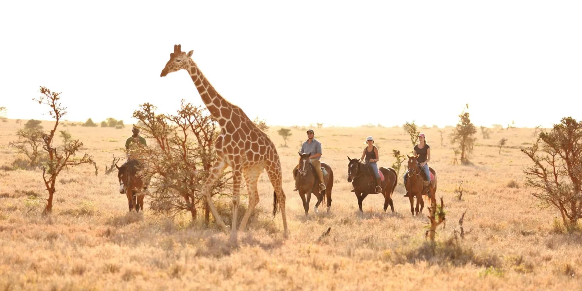 Private Kenya Safari