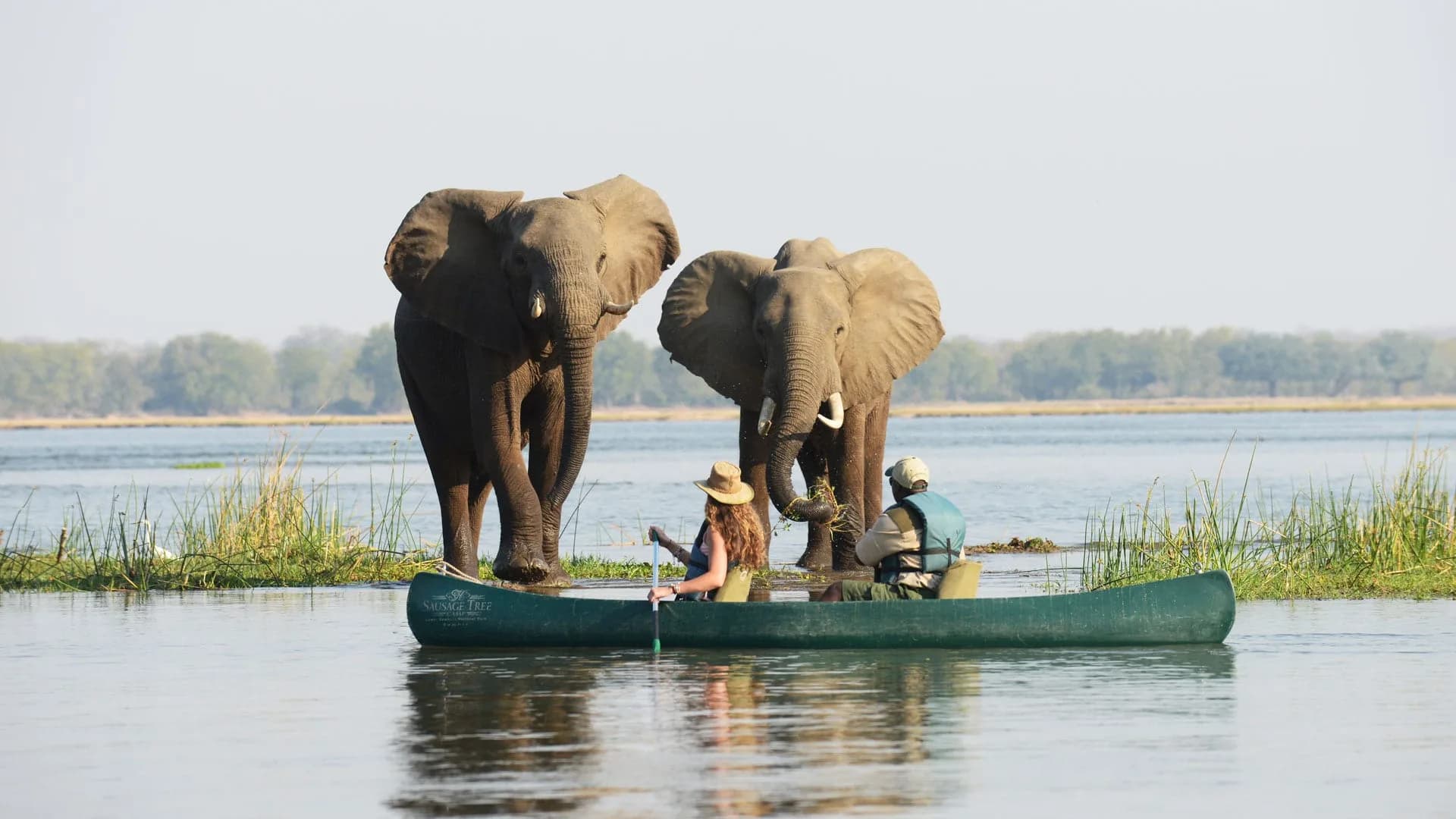 Lower Zambezi Canoe Safari