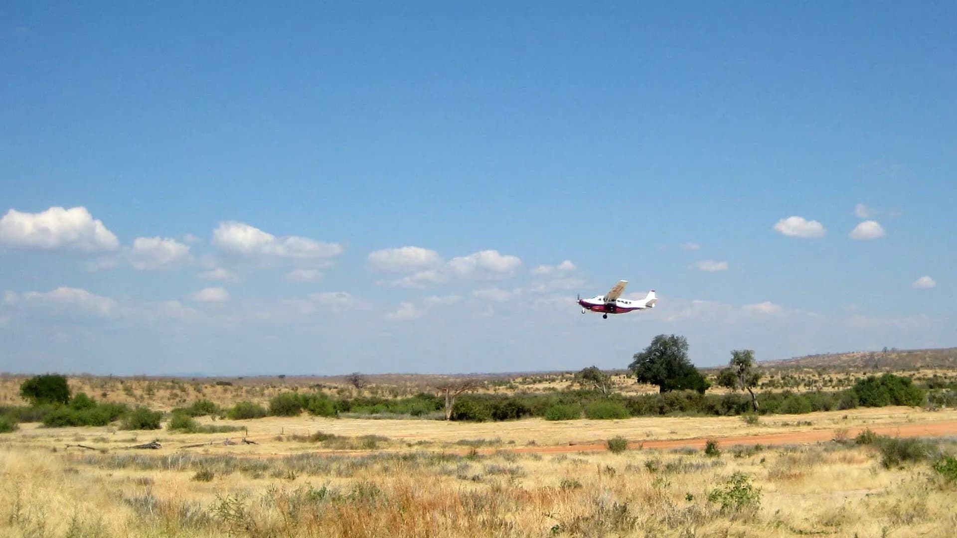 Fly-In Serengeti by Bush Plane
