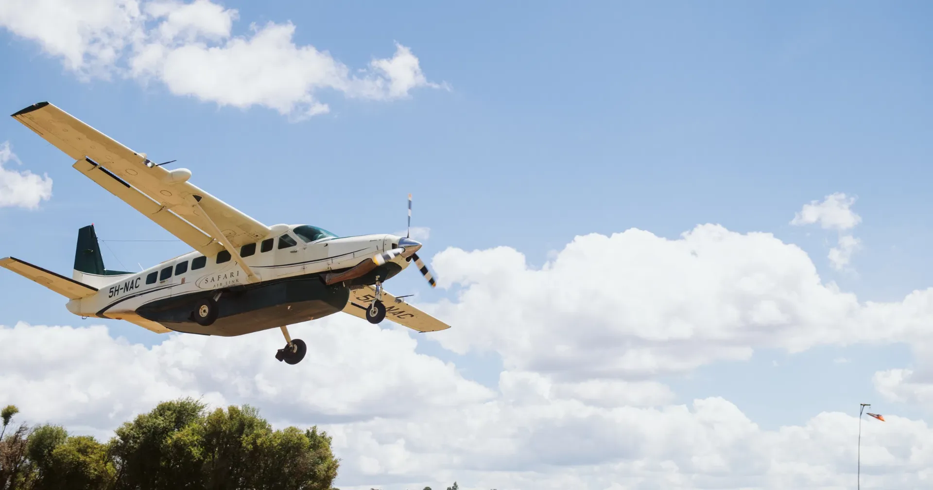Fly-In Nyerere Safari