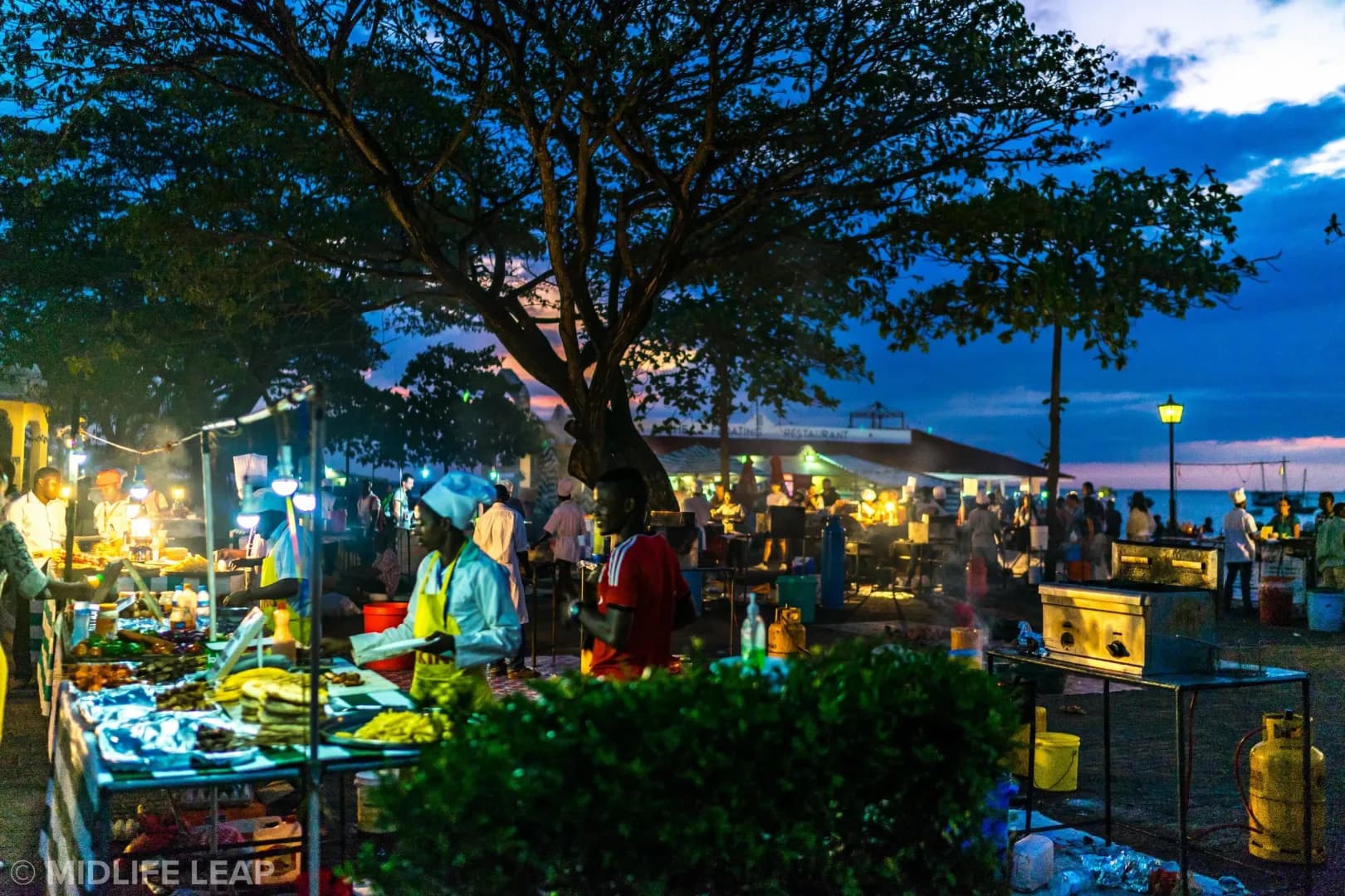 Zanzibar by Night