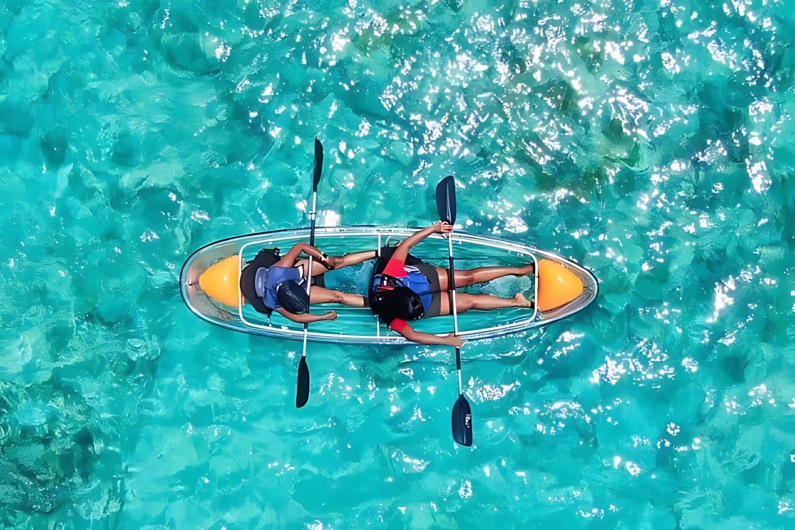 Mangrove Kayaking Adventure