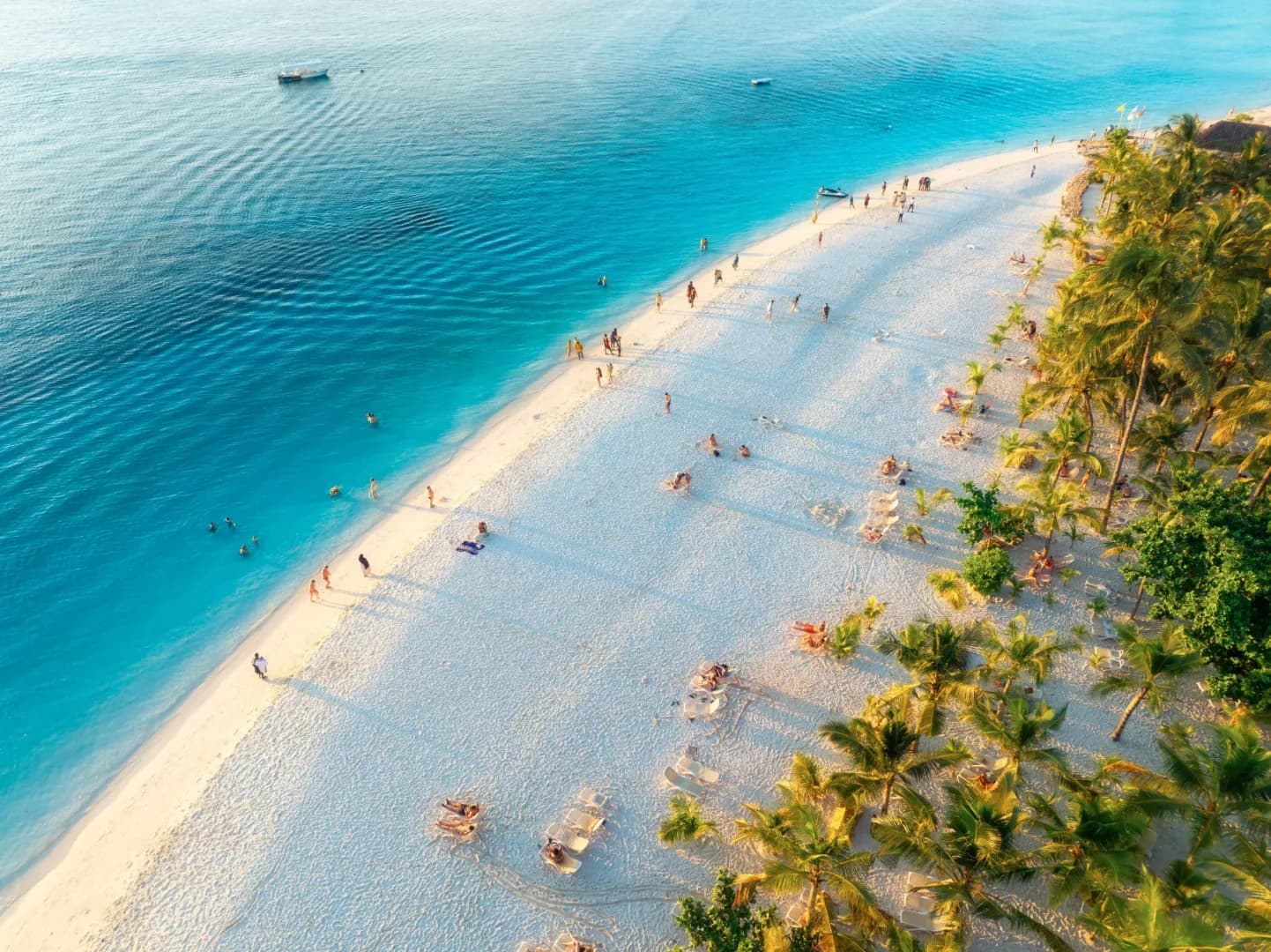 Selous & Zanzibar