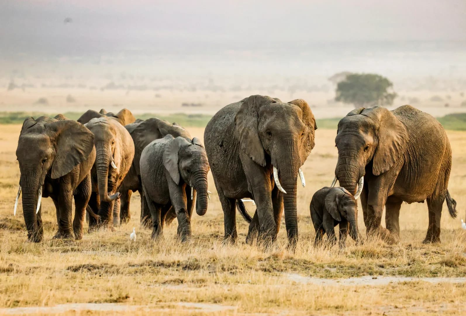 4-Day Camping & Cultural Safari