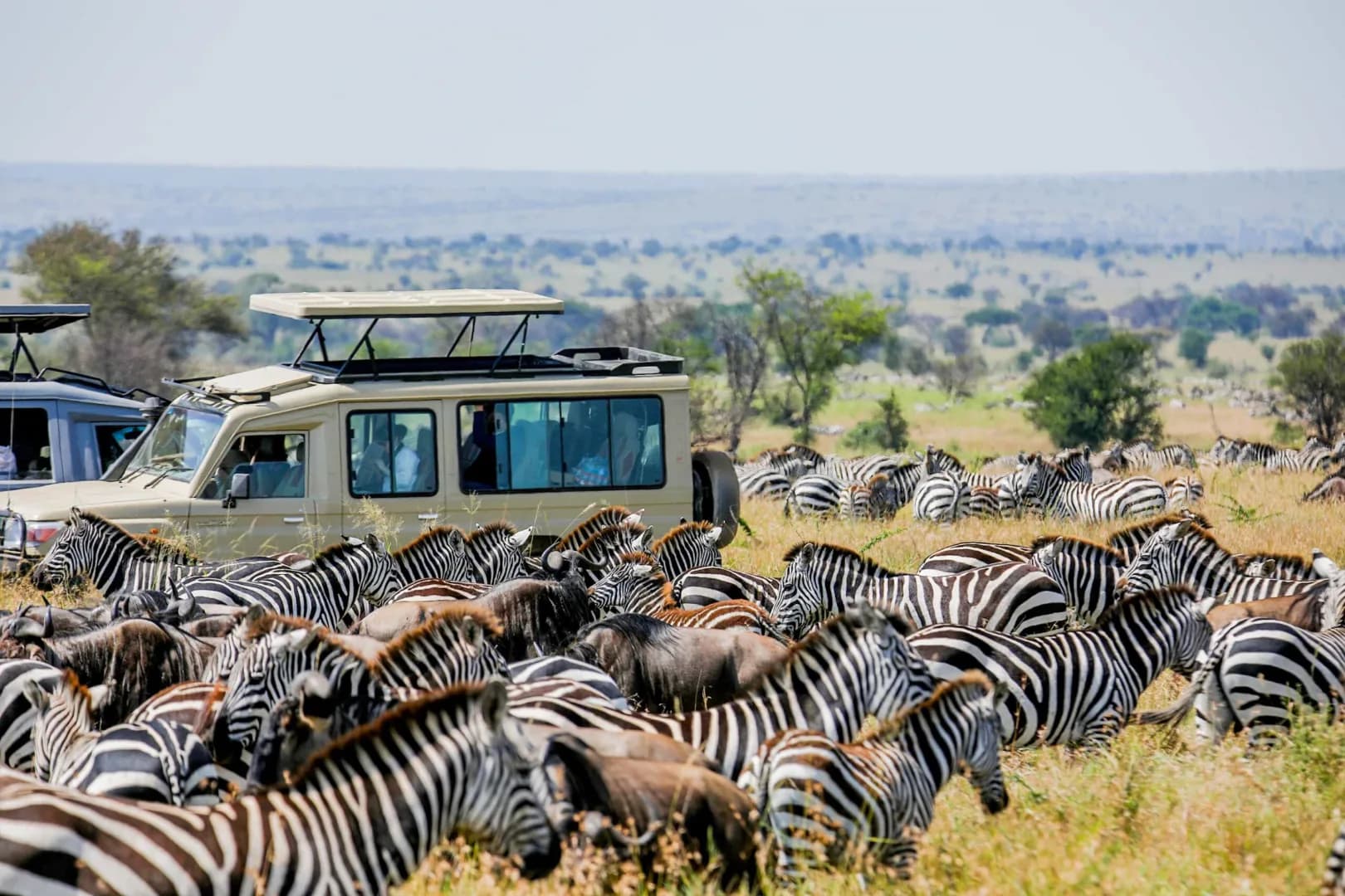 3-Day Group Joining Safari