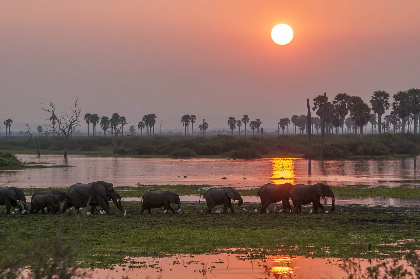 5-Day Nyerere & Mikumi Safari