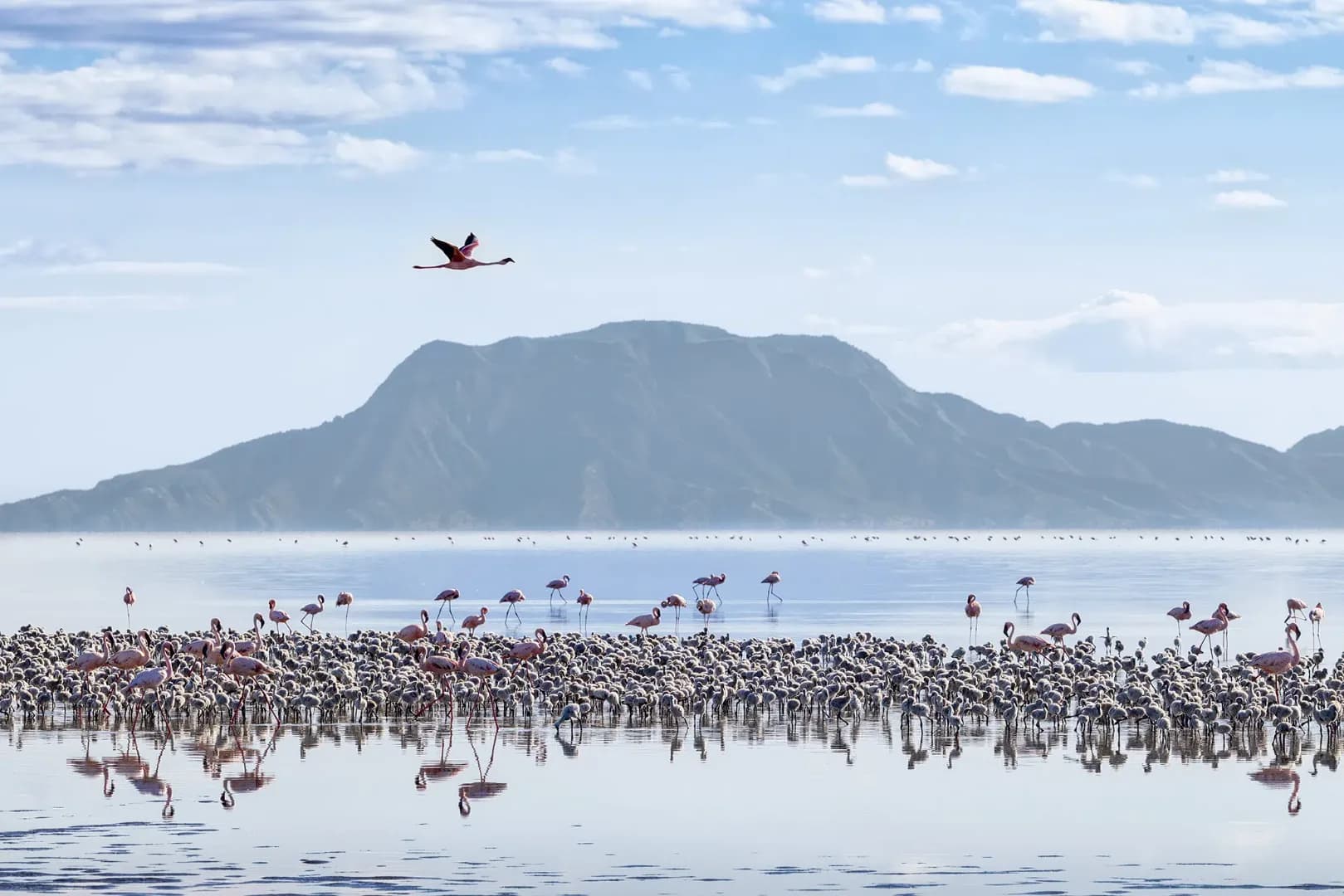 7-Day Northern Safari with Lake Natron