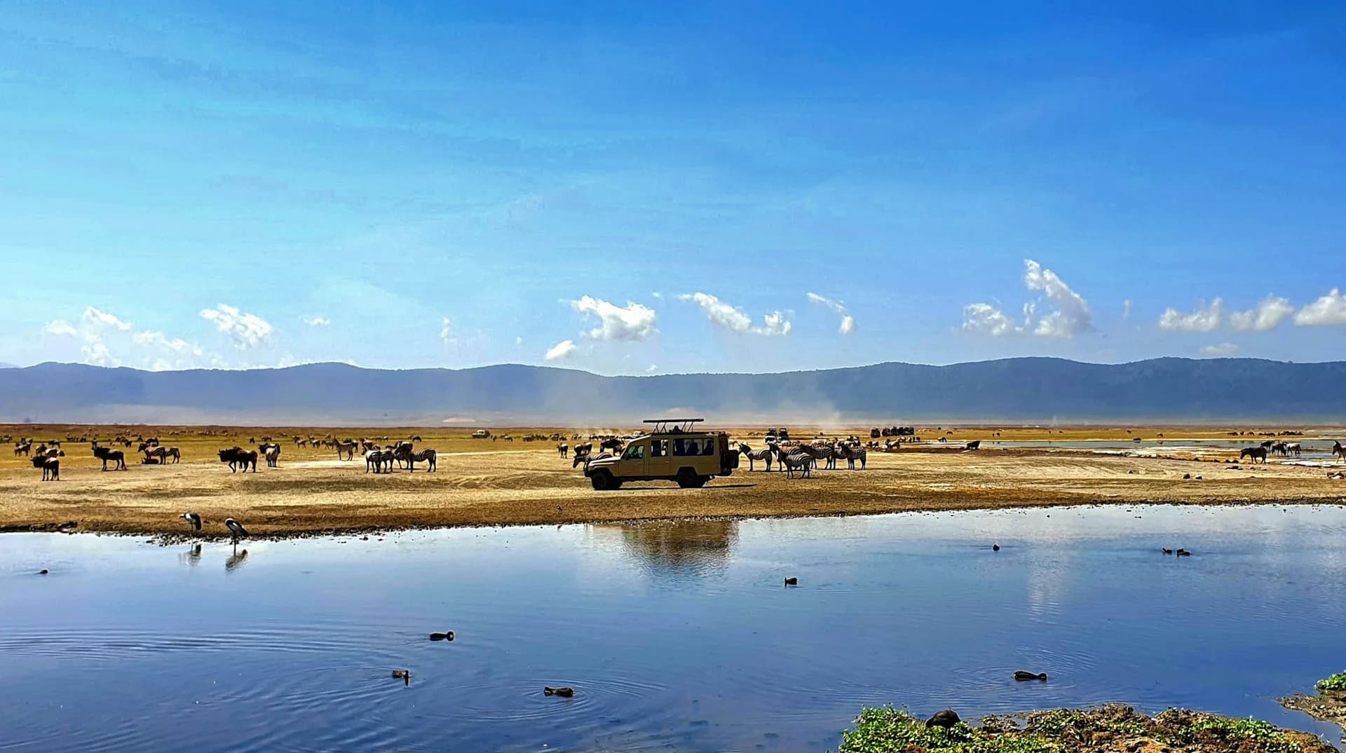 4-Day Northern Circuit Camping Safari