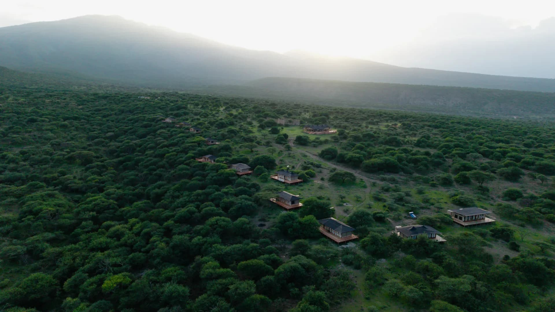 Serengeti & Ngorongoro Private Safari